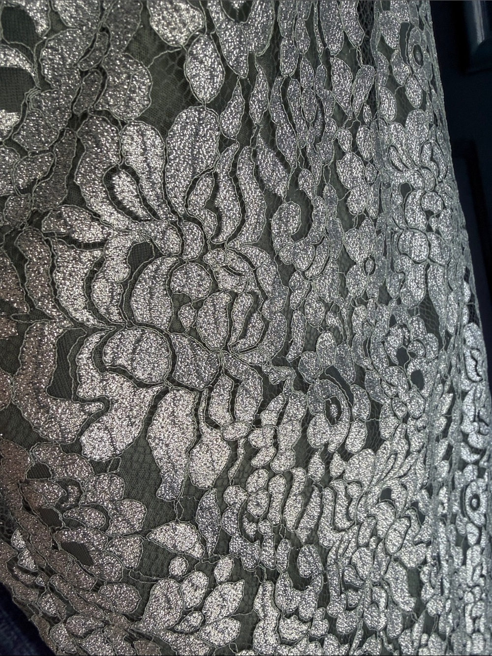 Lace Overlay gown - Picture 11 of 11